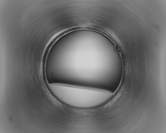 X0000113220932200909100919