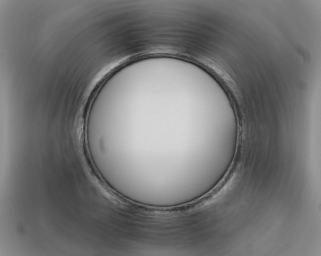X0000113220933200909100919