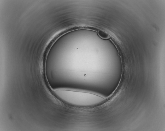 X0000113220934200909100919