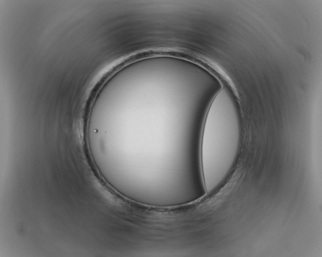 X0000113220935200909100919