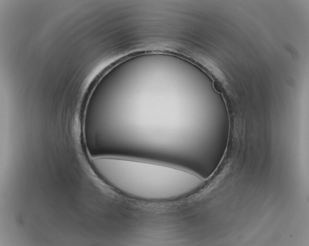 X0000113220936200909100919