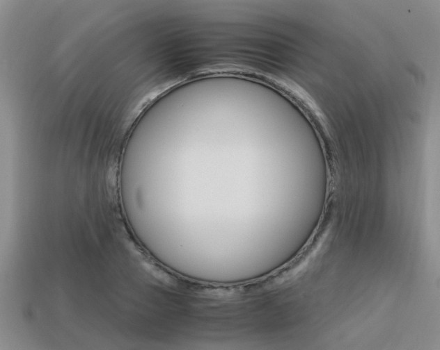 X0000113220937200909100919