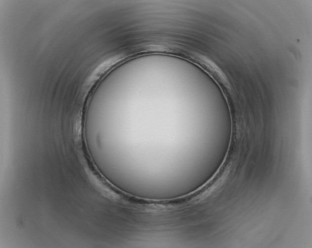 X0000113220938200909100919