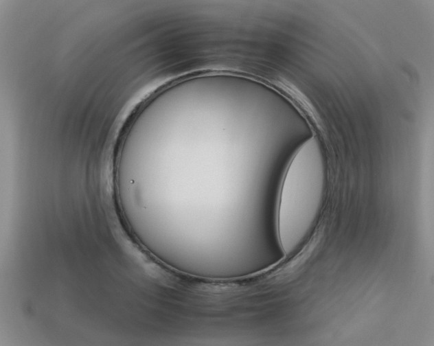 X0000113220939200909100919