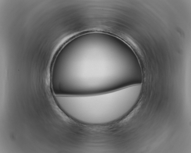 X0000113220940200909100919