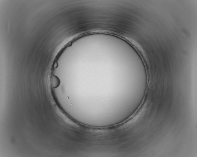 X0000113220941200909100919