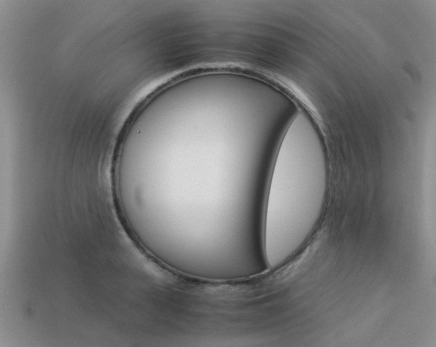 X0000113220943200909100919