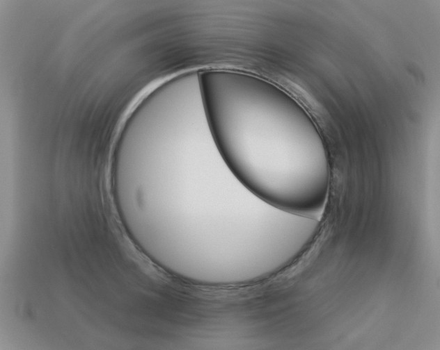 X0000113220948200909100919