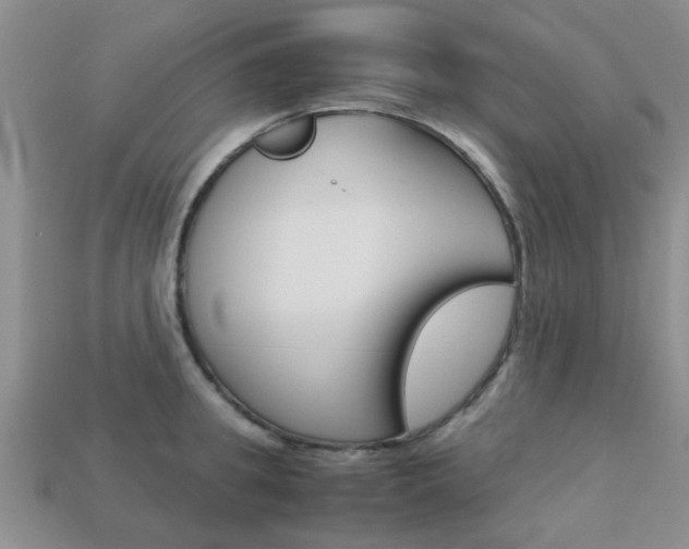 X0000113220949200909100919