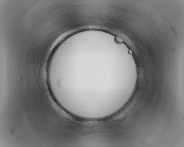 X0000113220950200909100919