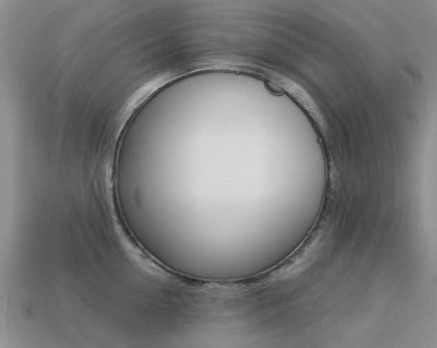 X0000113220954200909100920