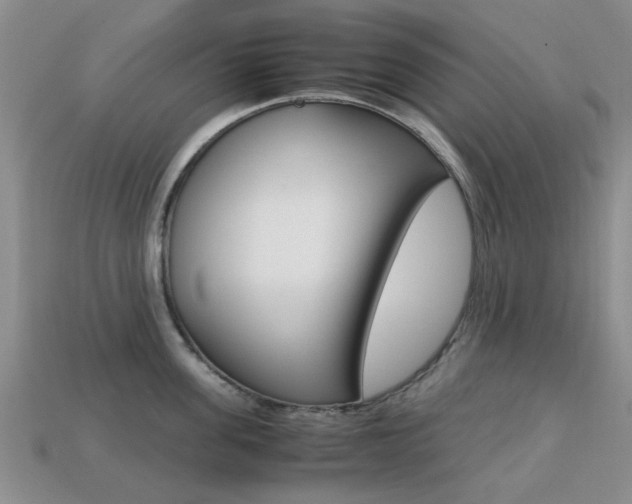 X0000113220955200909100920