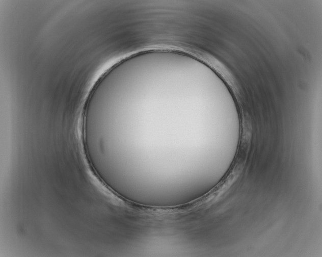 X0000113220958200909100920