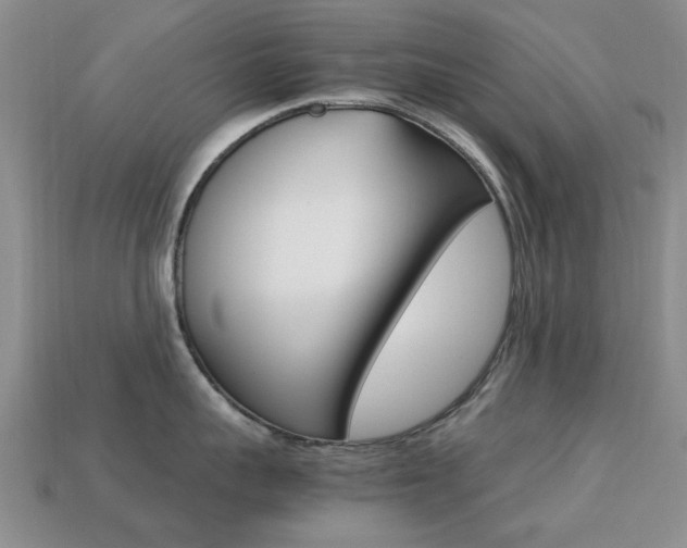 X0000113220959200909100920