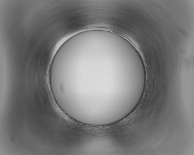 X0000113220960200909100920