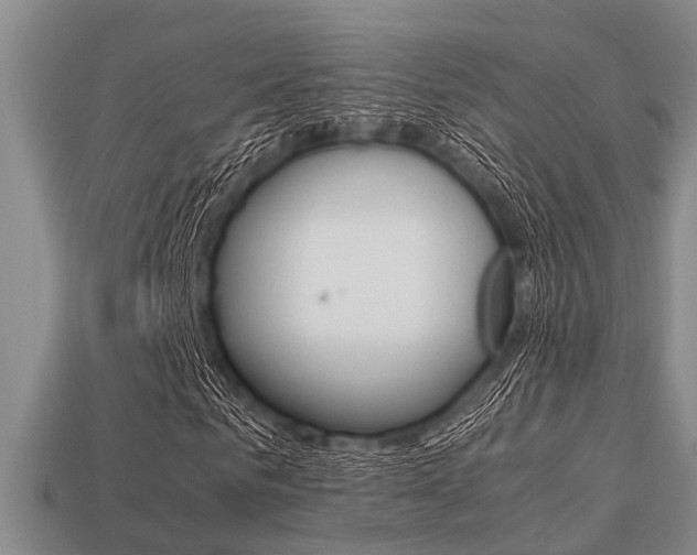 X0000113220961200909100919