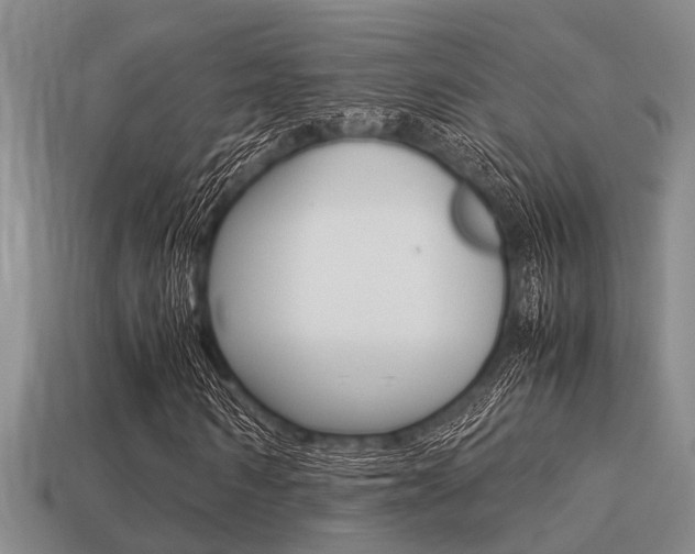X0000113220962200909100919