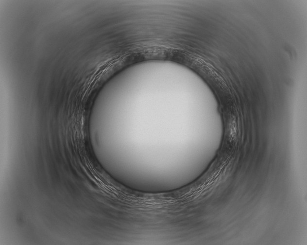 X0000113220964200909100919
