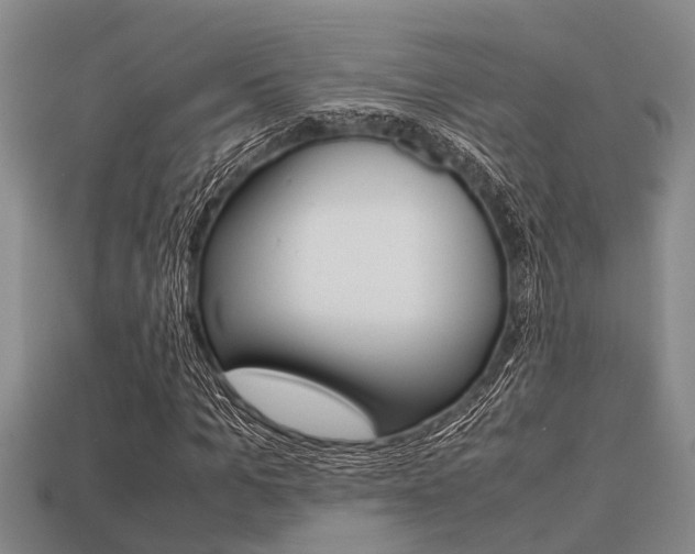 X0000113220965200909100919