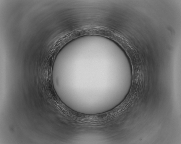 X0000113220966200909100919