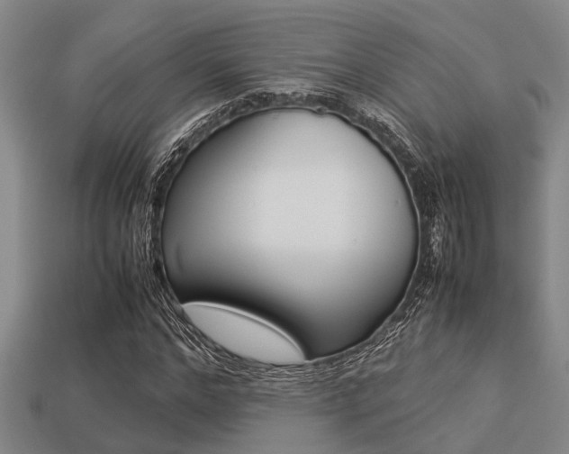 X0000113220968200909100919