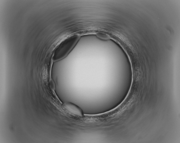 X0000113220969200909100919