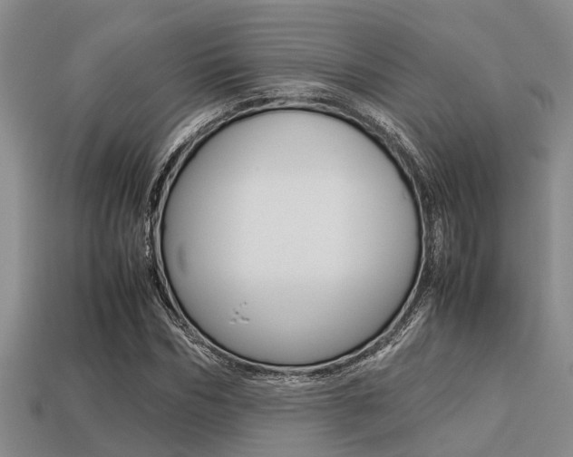 X0000113220970200909100919