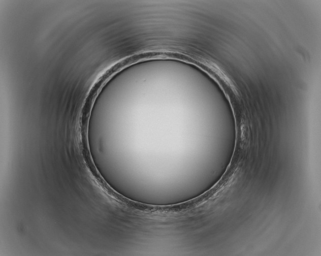 X0000113220972200909100919