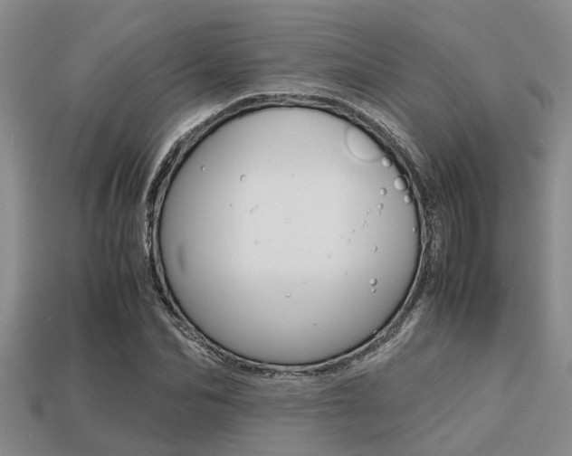 X0000113220974200909100919