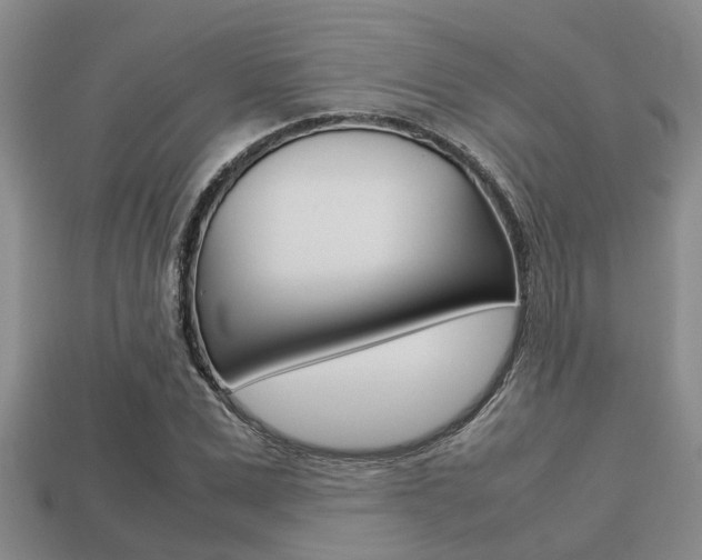 X0000113220975200909100919