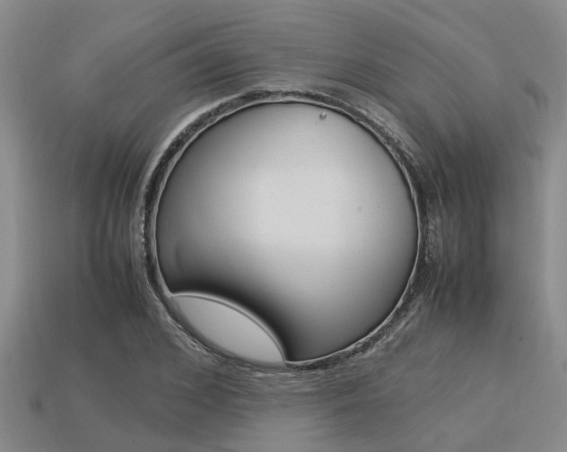 X0000113220976200909100918