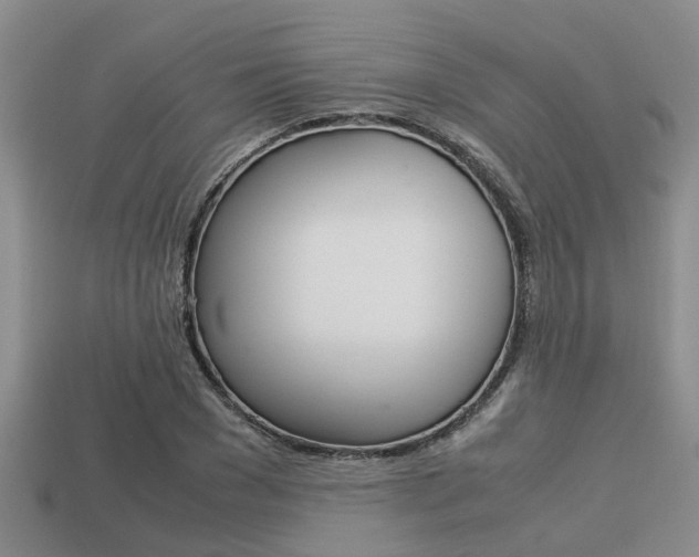 X0000113220977200909100918