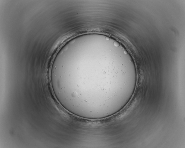X0000113220978200909100918