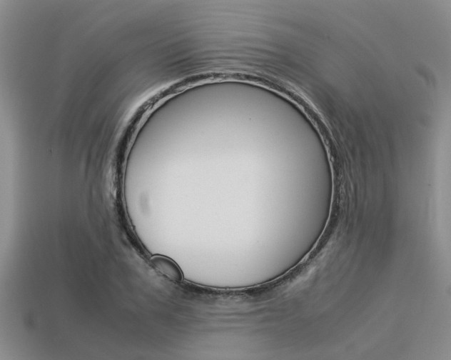 X0000113220979200909100918