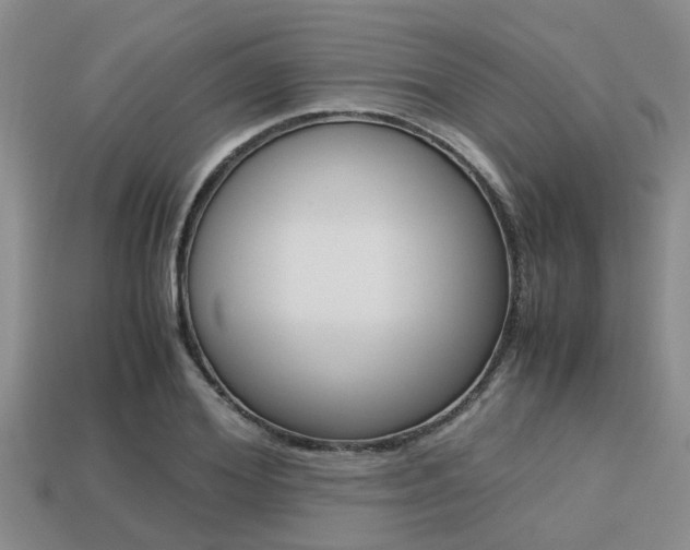 X0000113220980200909100918