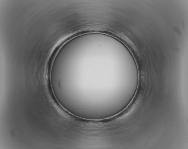 X0000113220981200909100918