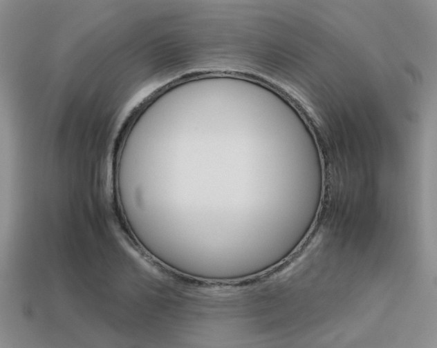 X0000113220982200909100918