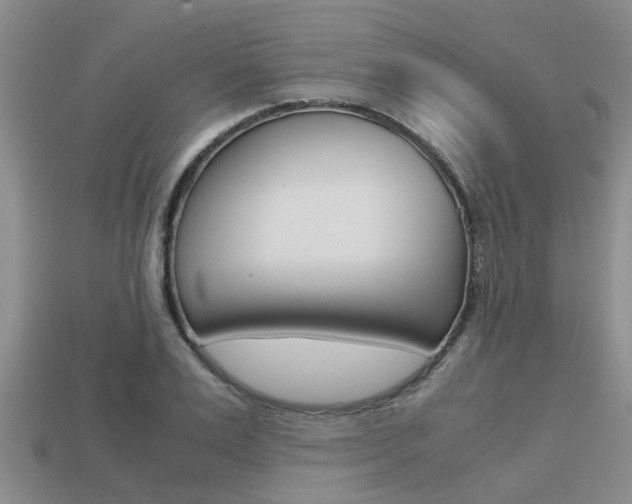 X0000113220983200909100918