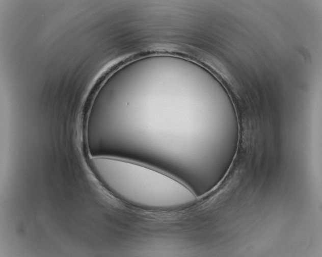 X0000113220984200909100918