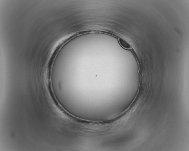 X0000113220987200909100918
