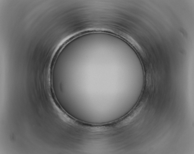 X0000113220988200909100918