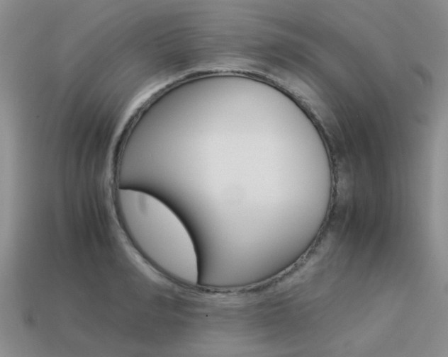 X0000113220990200909100918