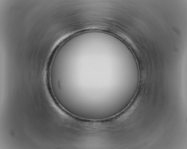 X0000113220991200909100918
