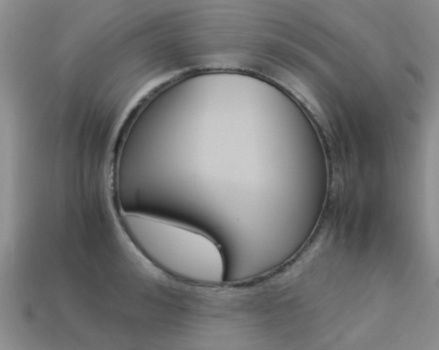 X0000113220992200909100918