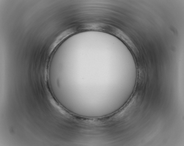 X0000113220994200909100918