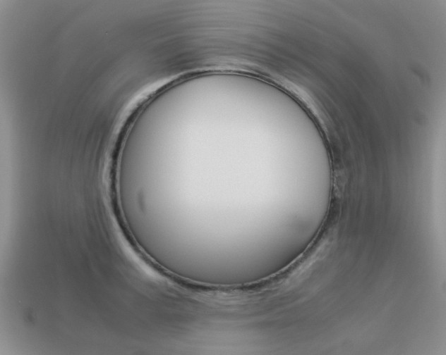 X0000113220995200909100918