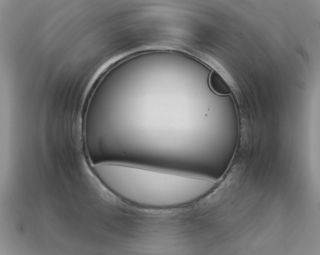 X0000113220996200909100918