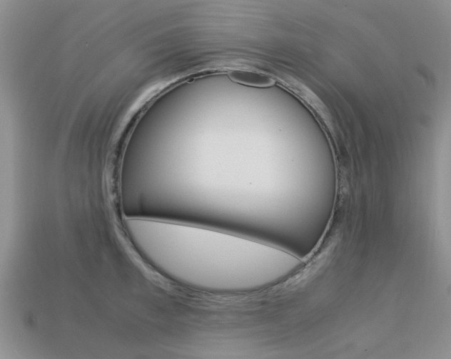 X0000113220997200909100918