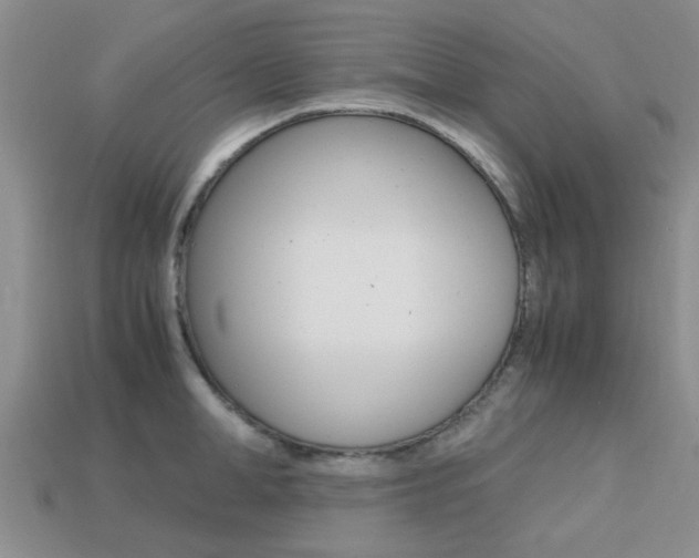X0000113220998200909100918