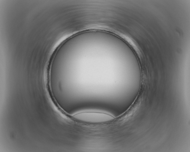 X0000113220999200909100918
